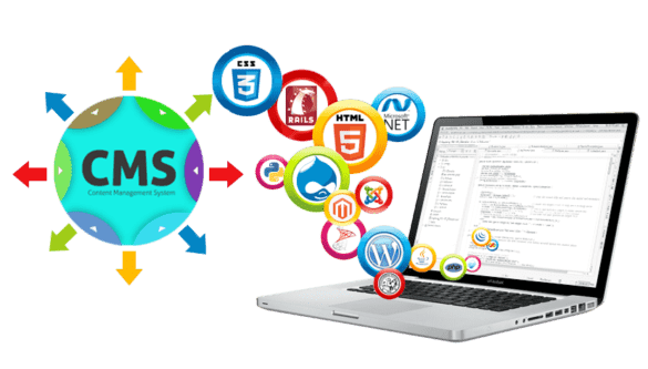 db-cms DB