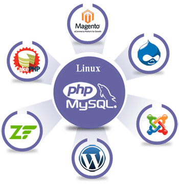 db-php-1 DB
